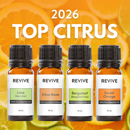 Our REVIVE Citrus Kit is the best way to get all of your favorite Citrus Fruit!

	
		
			



Free Shipping & Free Returns

		 
	 


	
		
			
GC/SM Tested (Quality Tested)


		 
	 


	
		
			
No MLM Hassle