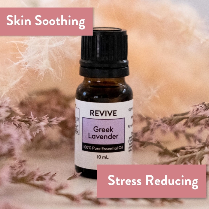 Lavender (greek) - REVIVE Essential Oils