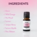 spring break ingredients revive essential oils blend