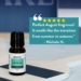 Lake House Revive Review