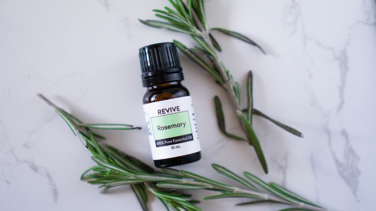 What Is Rosemary Essential Oil Good For REVIVE Essential Oils What Is Rosemary Essential Oil Good For REVIVE Essential Oils