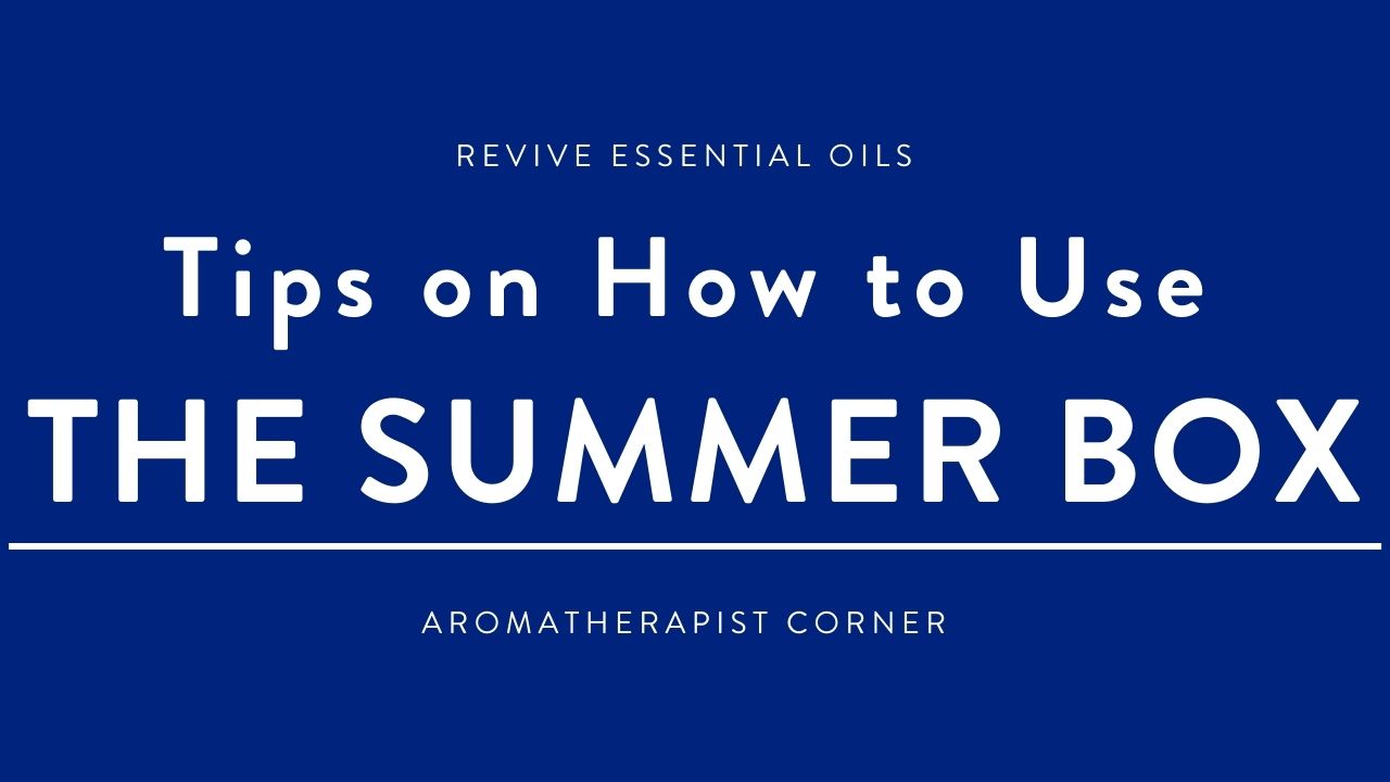 Tips on How to Use the Summer Box - HEADER (1)