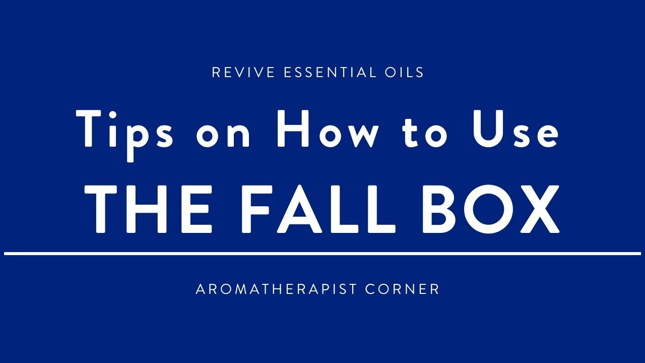 Tips on How to Use the Fall Box - HEADER