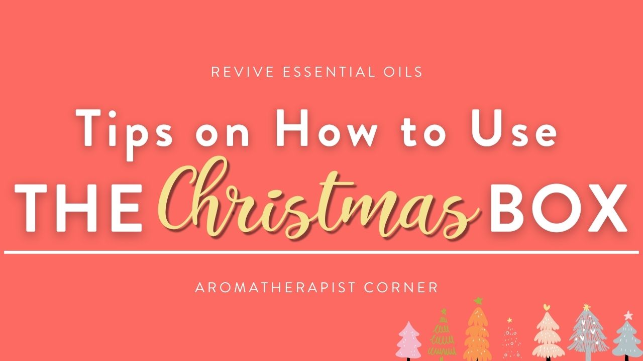 Tips on How to Use the Christmas Box - HEADER