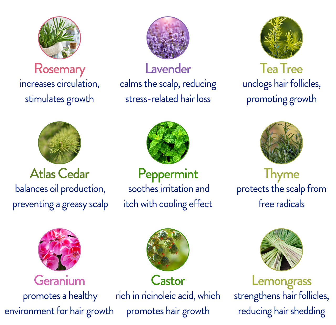 Healthy Hair_What's Inside_ (BLOG-1) Healthy Hair_What's Inside_ (BLOG-1)