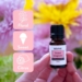 sweet magnolia essential oils scent smell