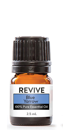 The small, white Yarrow flowers grown in Bulgaria produce a beautiful essential oil with an herbal, sweet, earthy aroma. Named after the Greek hero, Achilles, this powerful herb was used in ancient times as an antifungal and antimicrobial when treating wounds and infections. We just know that you're going to love this unique, therapeutic essential oil!
Achillea millefolium






	
		
			
Free Shipping & Returns

		 
	 


	
		
			
GC/SM tested (Quality Tested)


		 
	 


	
		
			
No MLM Hassle