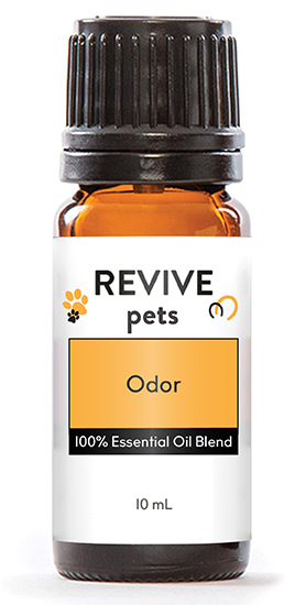 &nbsp;
They’re cute and fluffy, and you love them, but sometimes our fur babies can leave behind some smelly odors. Keep your pet’s space fresh with our new REVIVE Pets Odor Blend. Blended specifically for odor control, this brand new blend is sure to brighten your home while keeping away those pesky odors!
REVIVE Pets Odor is a proprietary blend of Bergamot, Lemon, Lavender, Peppermint, Niaouli, Rosemary.
**Note: do not use with cats, rabbits, or rodents.


	
		
			

Free Shipping & Returns

		 
	 


	
		
			
GC/SM tested (Certified Pure)


		 
	 


	
		
			
No MLM Hassle