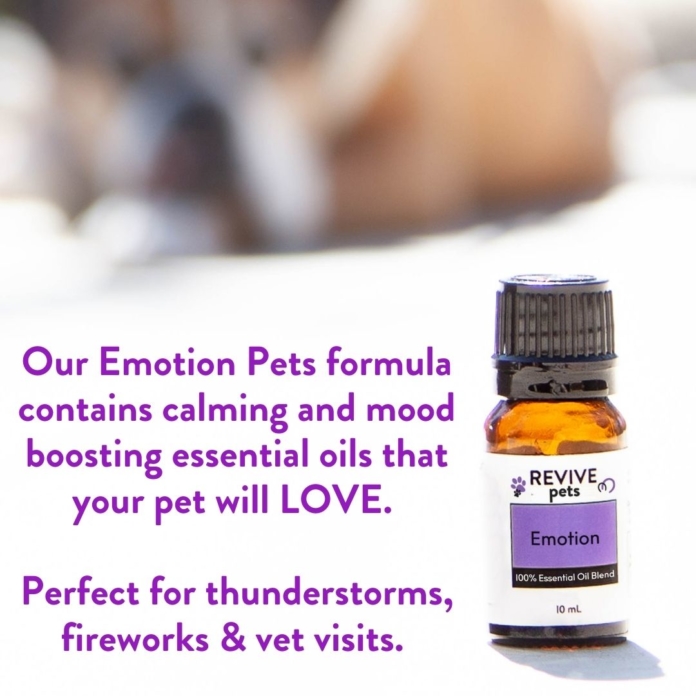 Calming Essential Oil Blend for Pets