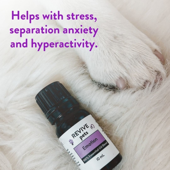 Pets Essential Oil Blend for Stress