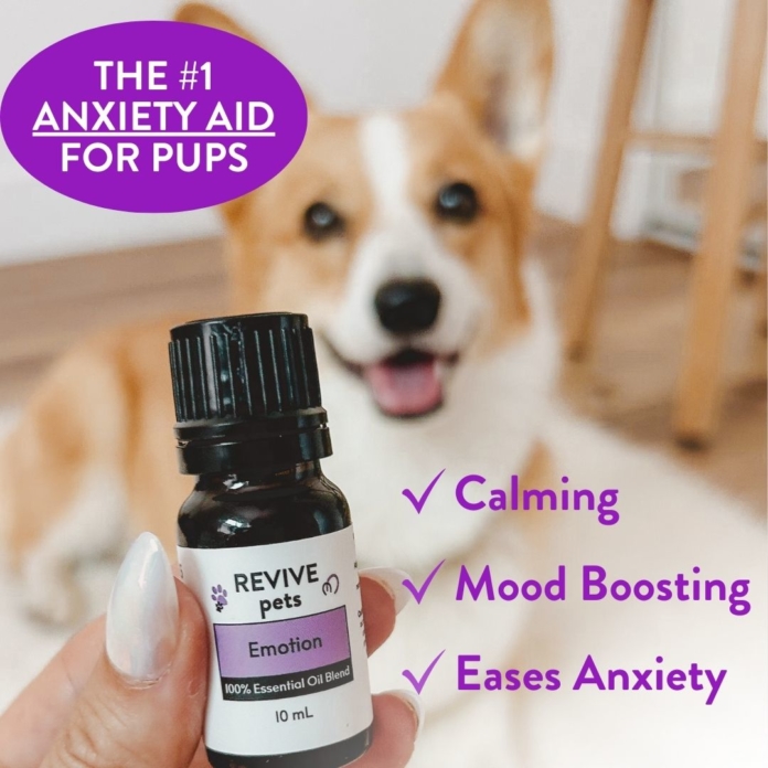 Anxiety Aid for Dogs