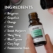 Vacation Mode Essential Oils Blend