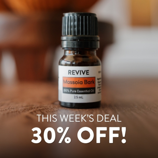 If you are looking for an Essential Oil whose scent radiates the essence of fall, Massoia Bark is it! With a toasty sweet and caramel-like smell, this calming oil is ideal for creating all sorts of autumn blends. Sustainably sourced from Indonesia, this oil is steam distilled from the Cryptocarya massoia tree.  Traditionally, Massoia was used by Balinese women to create a healing ointment for inflammation and circulation. The properties of this oil include it being an anti-inflammatory, anti-fungal, digestive, expectorant, and more.


 Cryptocarya


	
		
			

Free Shipping & Returns

		 
	 


	
		
			
GC/SM tested (Certified Pure)


		 
	 


	
		
			
No MLM Hassle