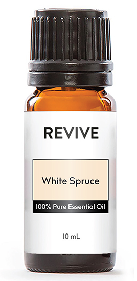 There is something to be said about a piney, fresh oil. No matter who you are, when you take a sniff of a conifer Essential Oil, you feel refreshed and open. In this seasonal box, REVIVE is introducing another beautiful conifer called White Spruce. Straight from the Canadian evergreen forests, White Spruce smells like a cross between Black Spruce and Birch. Long used by the Native Americans as a treasured medicine,this crisp and slightly camphoraceous oil has many therapeutic benefits to gently nurture the human body.


Picea glauca


	
		
			

Free Shipping & Returns

		 
	 


	
		
			
GC/SM tested (Certified Pure)


		 
	 


	
		
			
No MLM Hassle