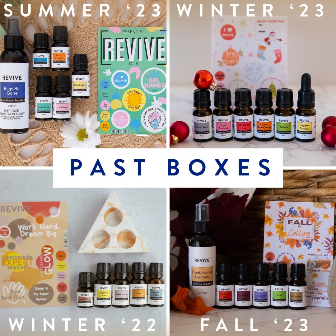 Quarterly Subscription Box Past Boxes Collage