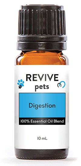 REVIVE Pets Digestion was specifically formulated to help settle your furry friend by providing a comforting aroma to promote relaxation. With Ginger and Peppermint to settle your pet's digestion and Rosemary and Lemongrass to support a cleansing atmosphere, your pet is sure to reap the benefits of this fantastic new blend.

REVIVE Pets Digestion is a proprietary blend of Caprylic/Capric Triglyceride, Ginger Root, Anise, Peppermint, Cumin, Spearmint, Rosemary, Juniper, Fennel, Lemongrass, Patchouli

**Note: do not use with cats, rabbits, or rodents.


	
		
			

Free Shipping & Returns

		 
	 


	
		
			
GC/SM tested (Certified Pure)


		 
	 


	
		
			
No MLM Hassle