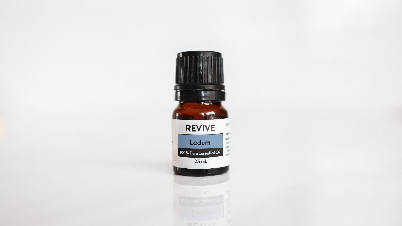 Ledum (Thumbnail) Ledum (Thumbnail)