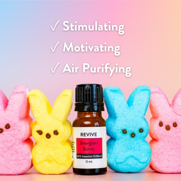 Energizer Bunny-Benefits-696×696