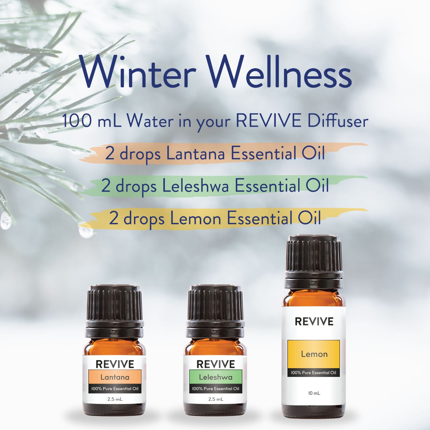 Winter Wellness Diffuser Blend