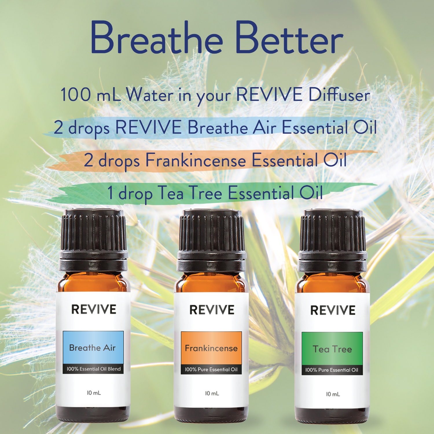 Breathe Better