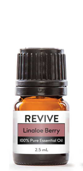 Our next Oil of the Month may not be one that you have heard of before, but let us tell you, it is worth your attention! Linaloe Berry Essential Oil is a hidden gem in the world of aromatherapy. With a delicate, yet complex aroma that is both soothing and uplifting, this oil is a great addition to your home and health. But, this oil is more than just a beautiful scent; it carries a rich history and many therapeutic benefits to boot.
Bursera Linaloe