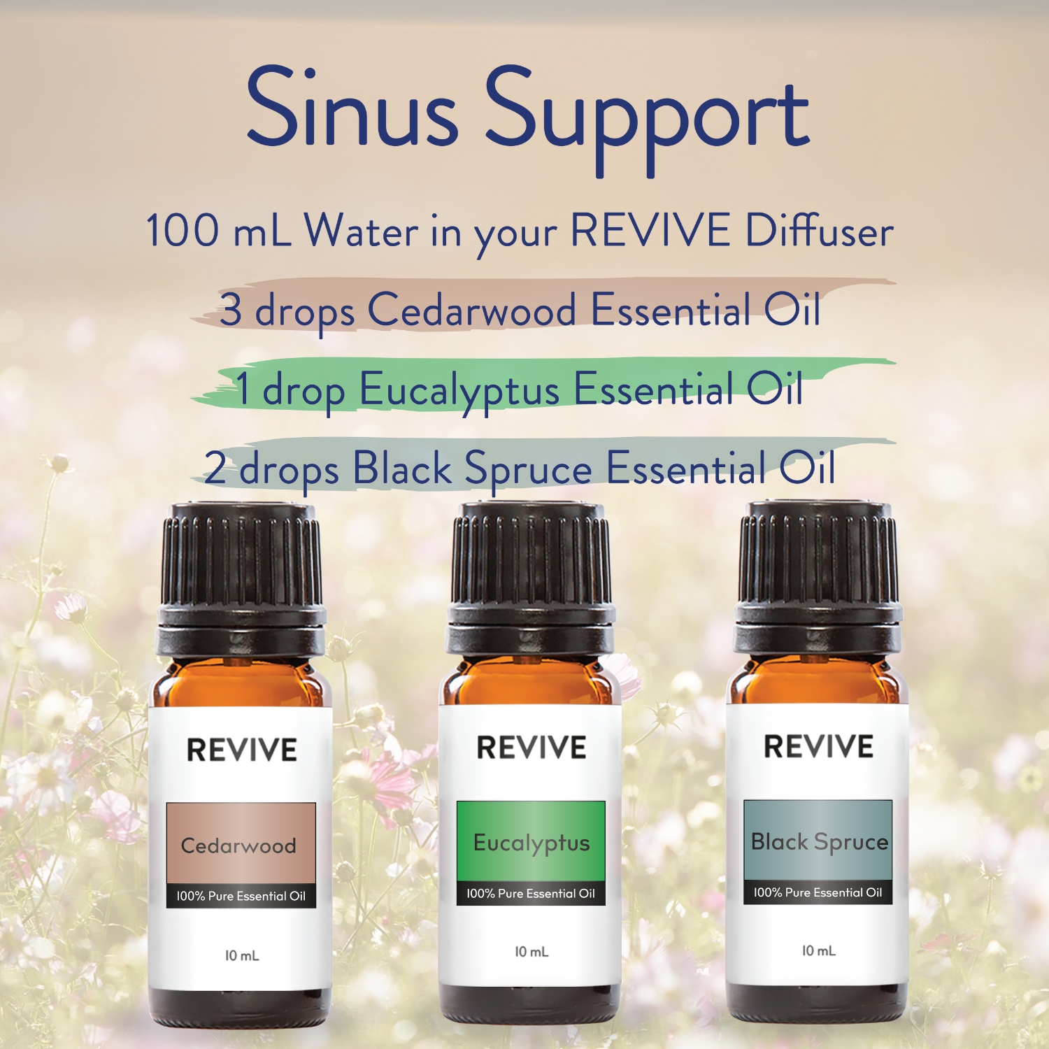 Sinus Support