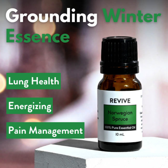 Picea abies

	
		
			
Free Shipping & Returns

		 
	 


	
		
			
GC/SM tested (Quality Tested)


		 
	 


	
		
			
No MLM Hassle