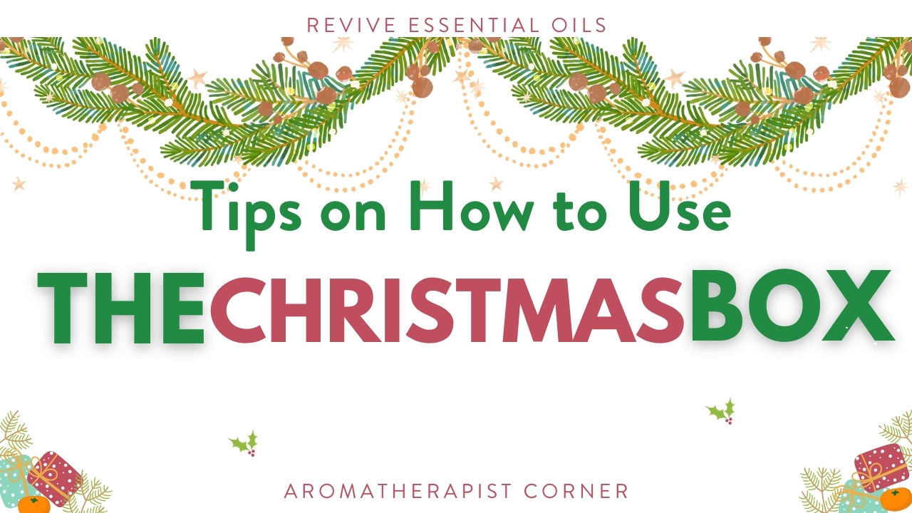 Tips on How to Use the 2025 Christmas Box