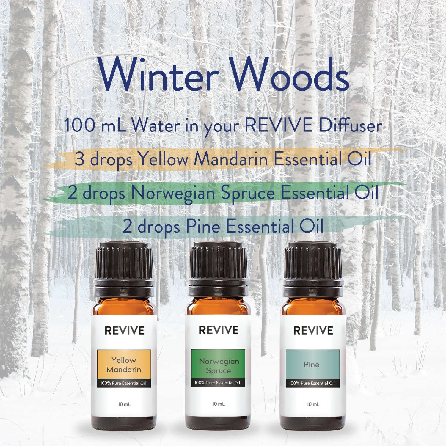Winter Woods Diffuser Blend