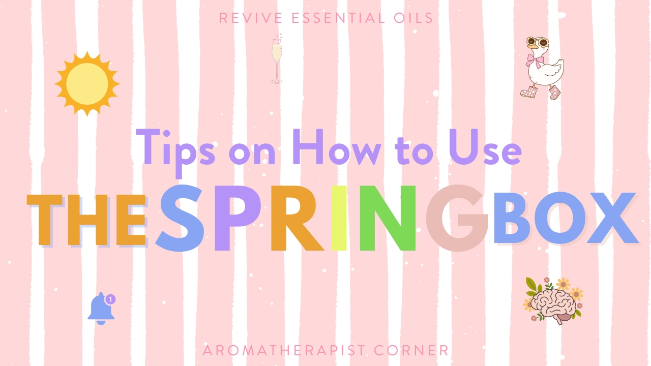 Tips on How to Use the 2026 Spring Box - Header