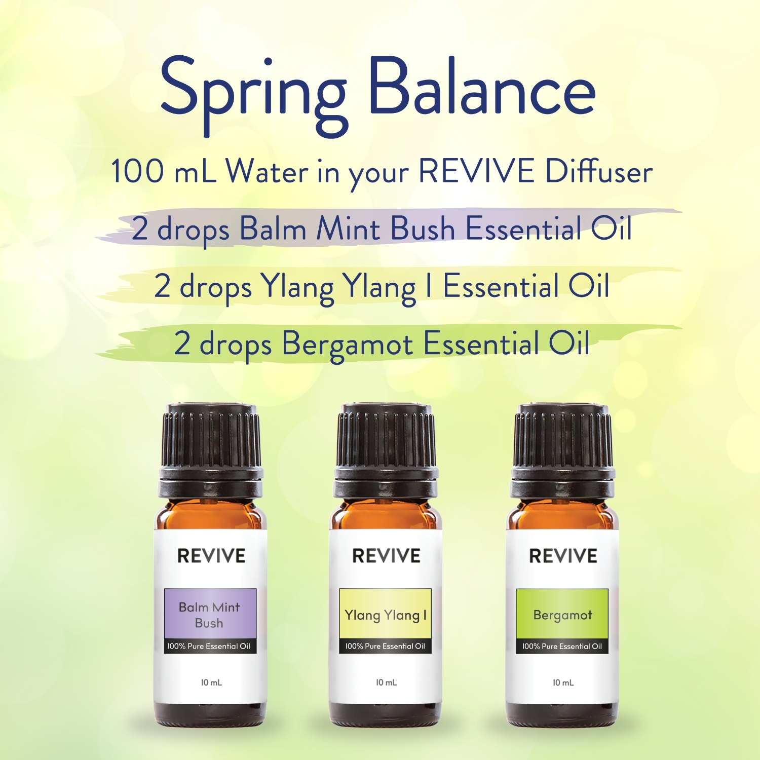 Spring Balance