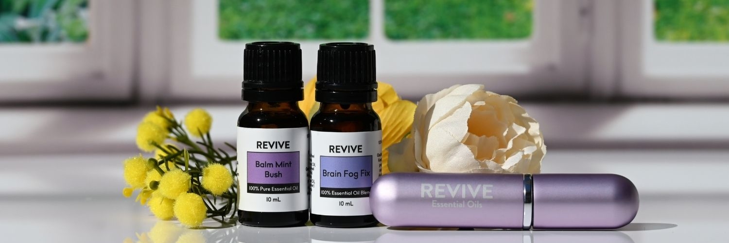 Spring Box 2026 DIYs -Header Spring Box 2026 DIYs -Header