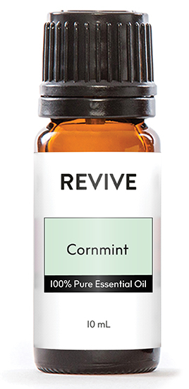 Mentha arvensis





	
		
			
Free Shipping & Returns

		 
	 


	
		
			
GC/SM tested (Quality Tested)


		 
	 


	
		
			
No MLM Hassle