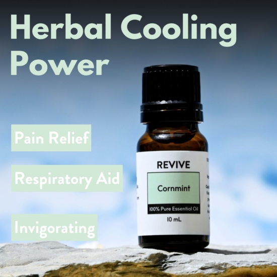 Mentha arvensis





	
		
			
Free Shipping & Returns

		 
	 


	
		
			
GC/SM tested (Quality Tested)


		 
	 


	
		
			
No MLM Hassle