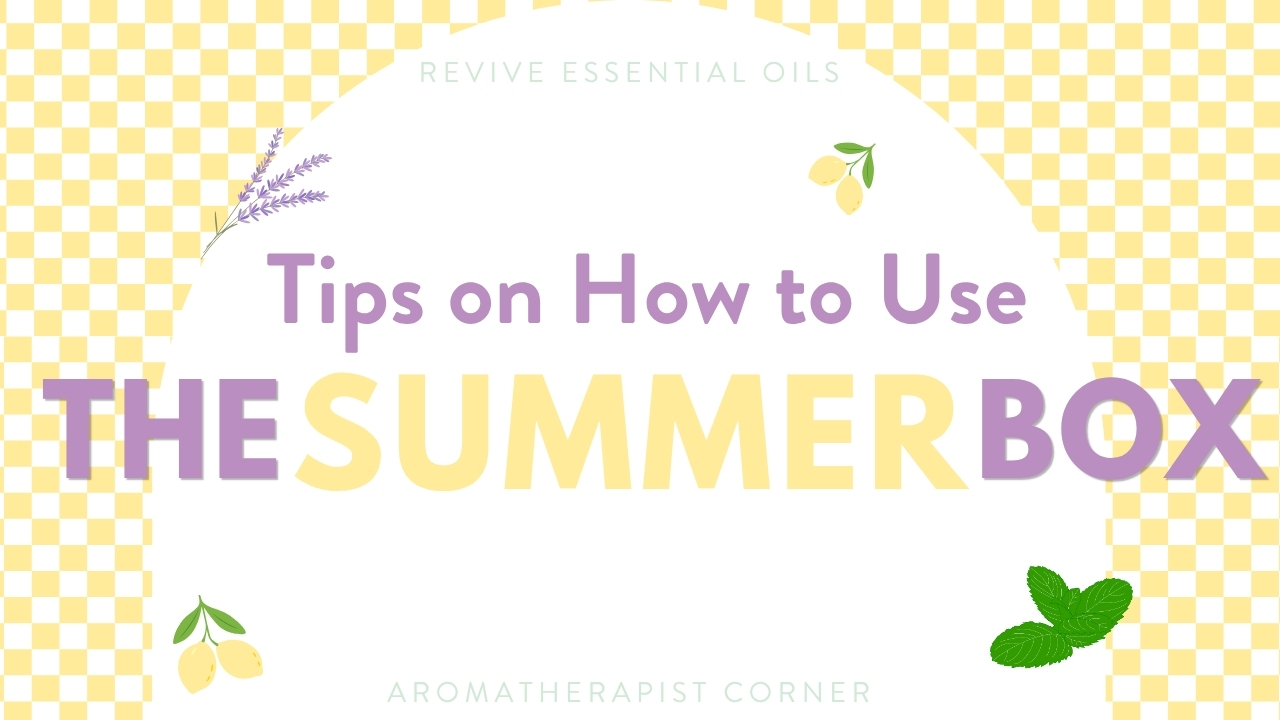 Tips on How to Use the 2026 Summer Box - Header