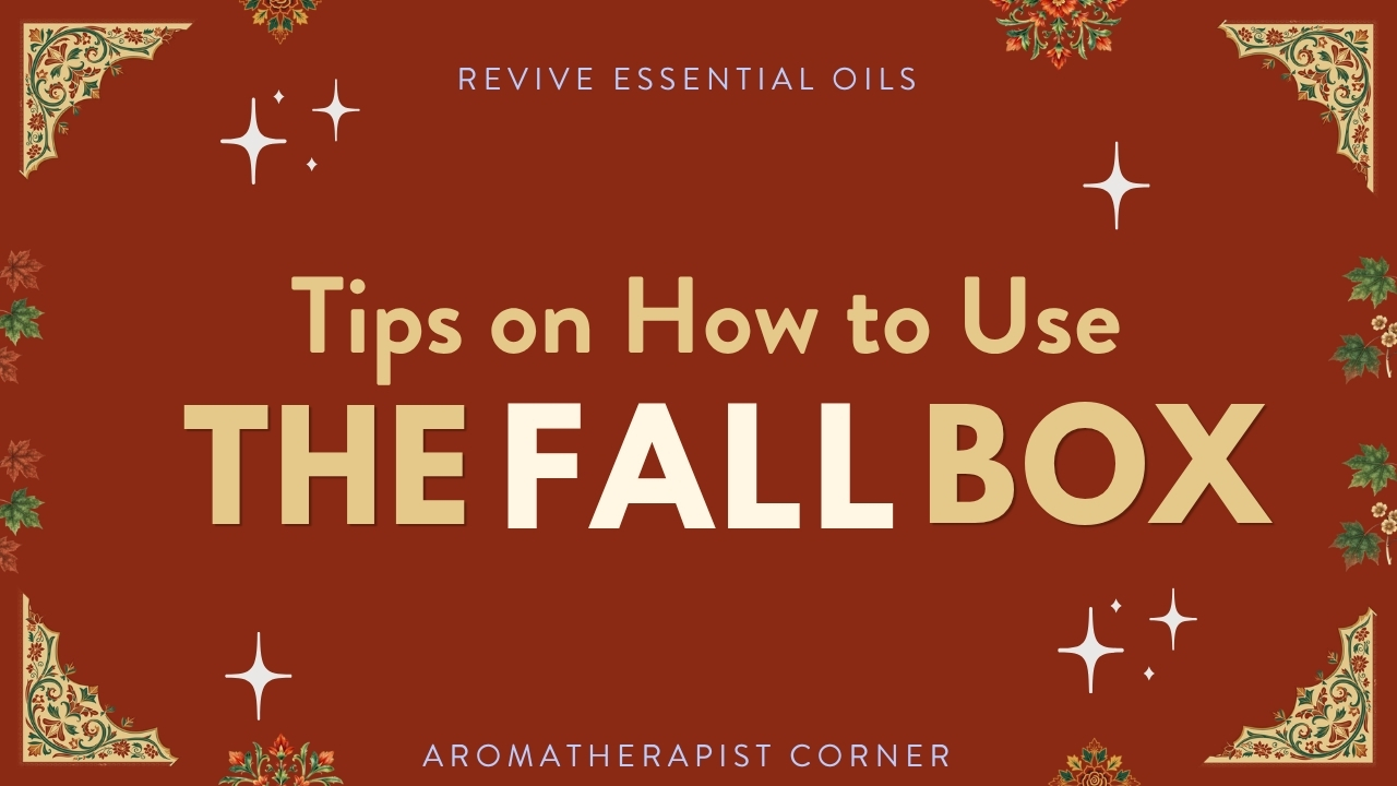 Tips on How to Use the 2026 Fall Box - Header