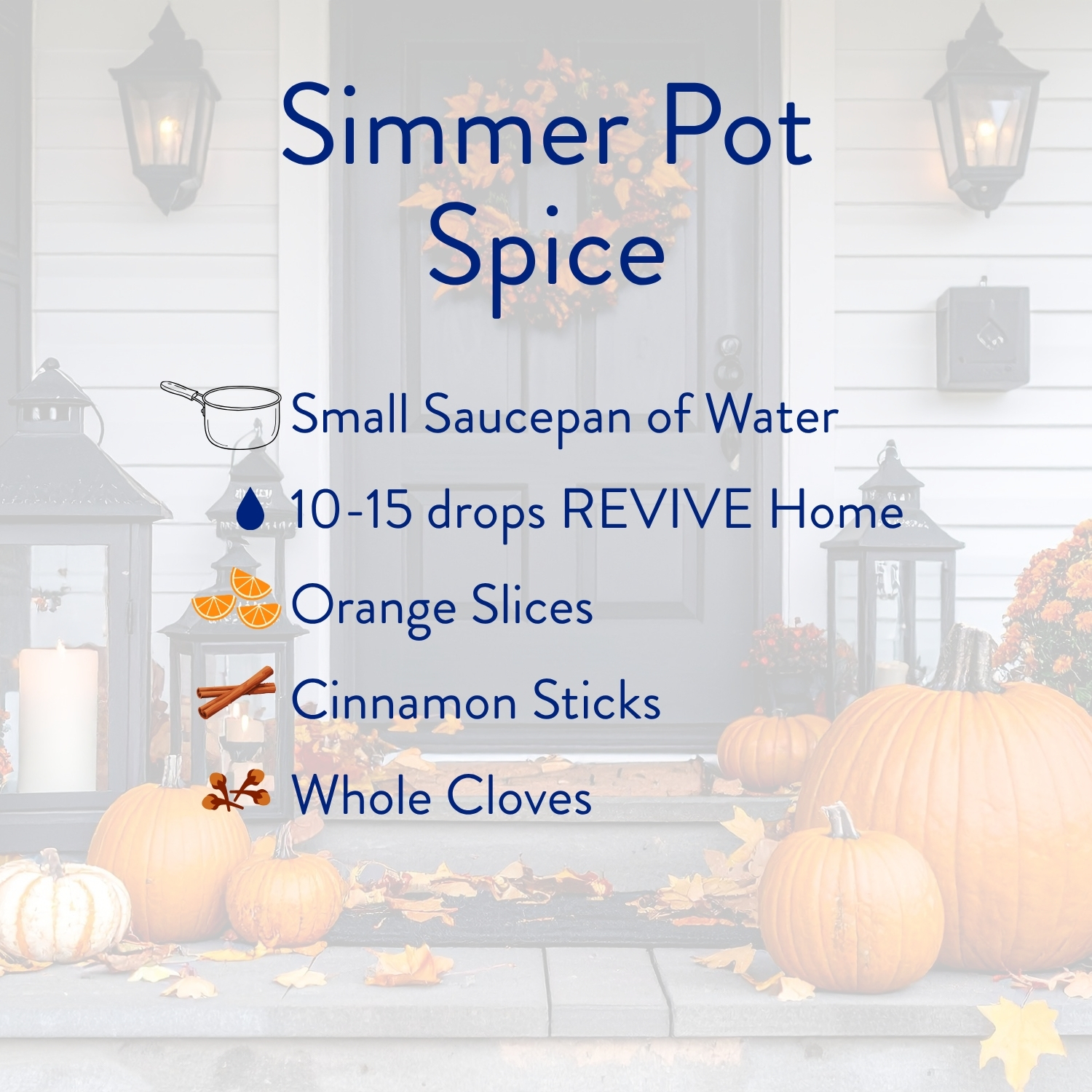 Simmer Pot Spice