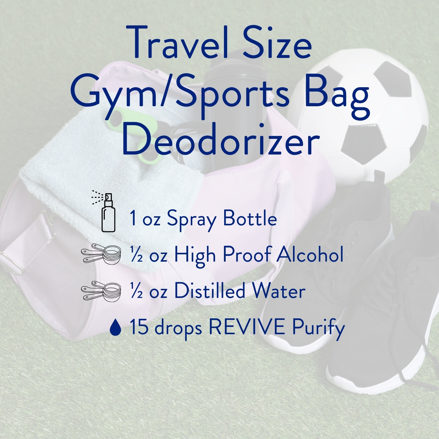 Travel Size Gym_Sports Bag Deodorizer