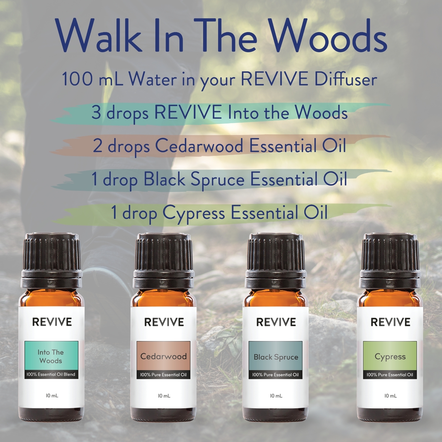 Walk in the Woods